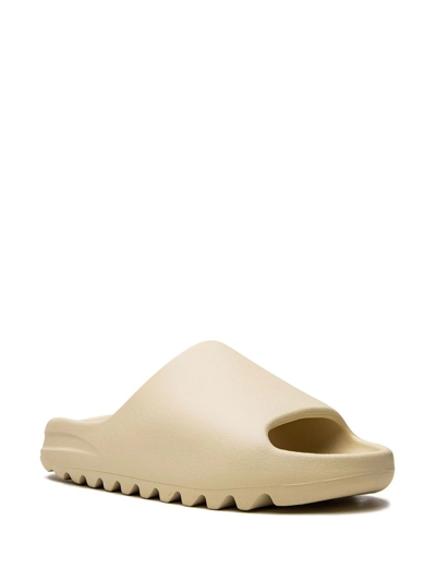 Shop Adidas Originals Yeezy "bone (2022 Restock)" Slides In Brown