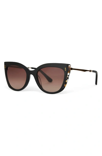Shop Toms Sophia 53mm Cat Eye Sunglasses In Honey Multi/ Brown Gradient