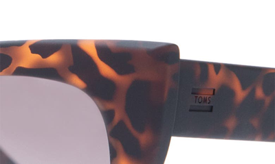 Shop Toms Traveler Sydney 50mm Cat Eye Sunglasses In Tort Orchid Fade/ Grey