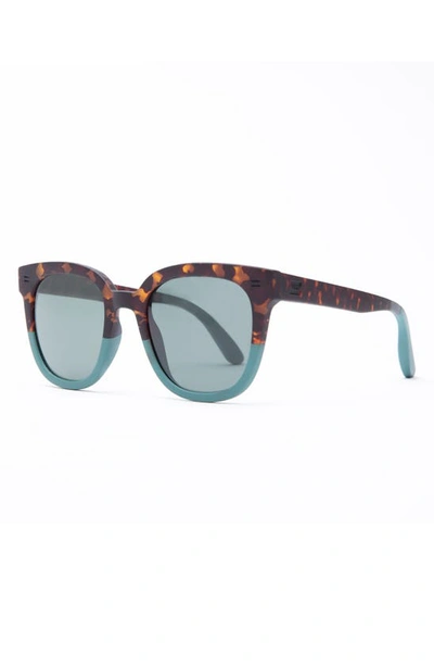 Shop Toms Traveler Juniper 54mm Round Sunglasses In Tort Sage Fade/ Green Grey