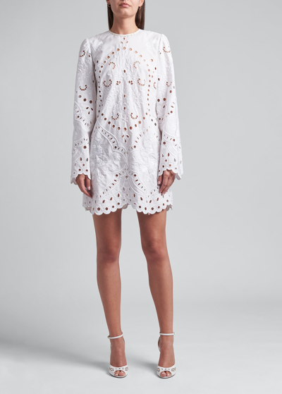 Shop Dolce & Gabbana Eyelet Embroidered Mini Dress In Optic White