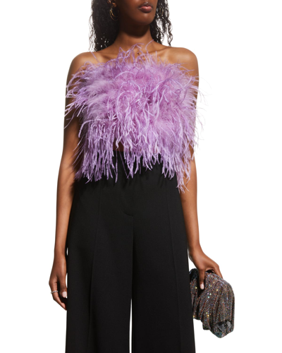 Shop Lamarque Zaina Ostrich Feather Bustier Top In Lilac