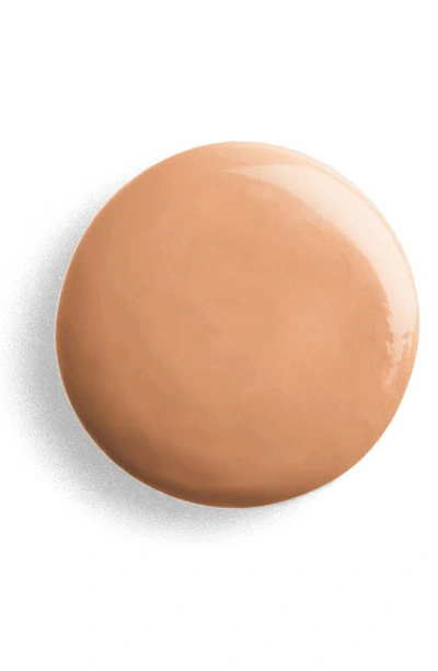 Sisley Paris Sisley-paris Phyto-teint Ultra Eclat Foundation In 3w2 Hazel
