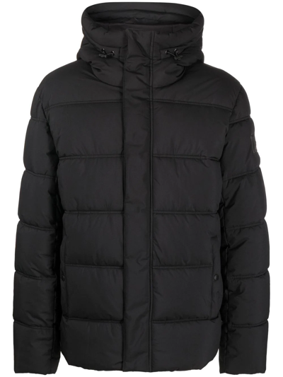 Shop Zadig & Voltaire Padded Hooded Jacket In Schwarz