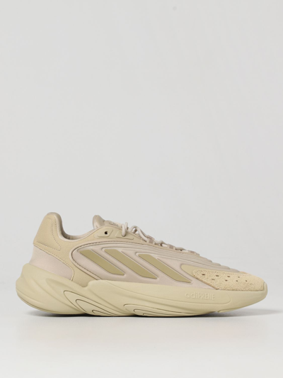 Shop Adidas Originals Trainers  Men In Beige