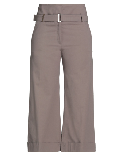Shop Accuà By Psr Woman Pants Light Brown Size 8 Cotton, Elastane In Beige