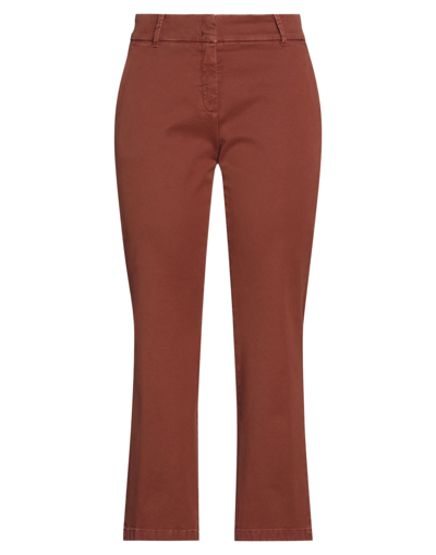 Department Five Pants In Brown