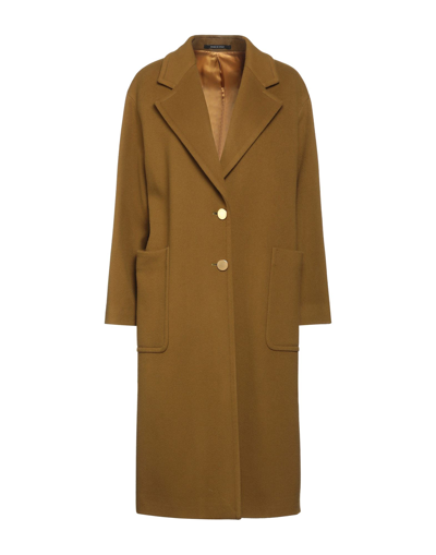 Shop Tagliatore 02-05 Woman Coat Khaki Size 4 Virgin Wool, Cashmere In Beige