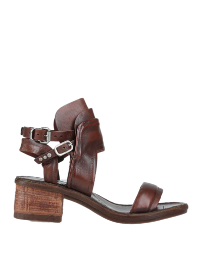 Shop A.s. 98 Sandals In Brown