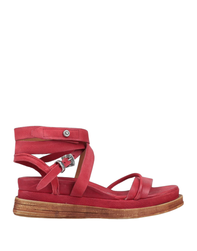 Shop A.s. 98 Sandals In Brick Red