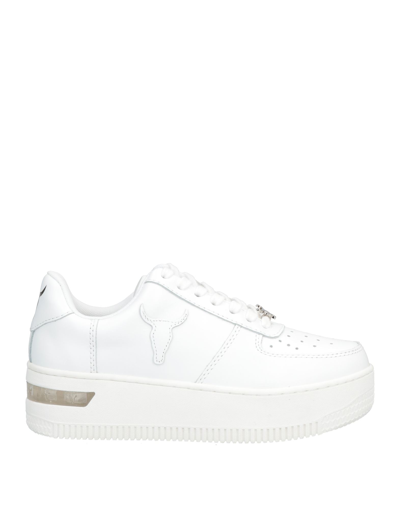 Windsor Smith Sneakers In White | ModeSens