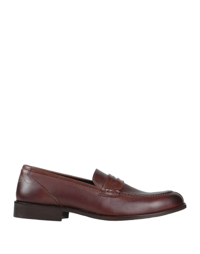 Shop Liu •jo Man Man Loafers Brown Size 11 Soft Leather