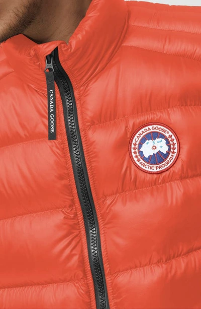 Shop Canada Goose Crofton Water Resistant Packable Quilted 750-fill-power Down Vest In Signal Orange/ Orange Signe