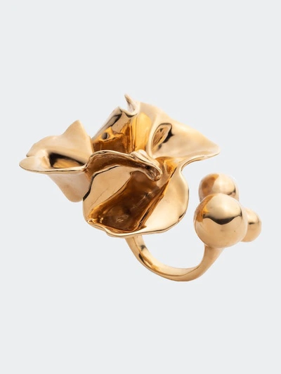 Shop Sterling King Delphinium Ring In Gold