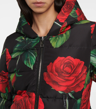 Shop Dolce & Gabbana Nylon Floral Down Jacket In Rose Rosse Fdo Nero