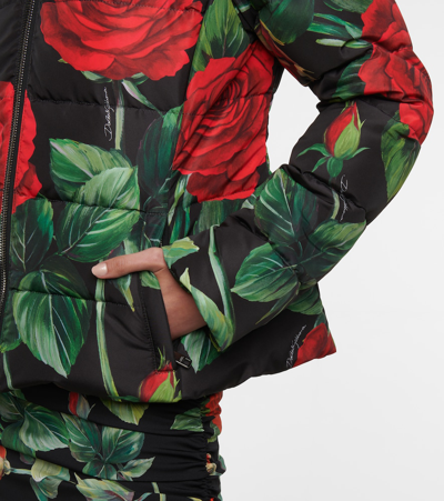 Shop Dolce & Gabbana Nylon Floral Down Jacket In Rose Rosse Fdo Nero