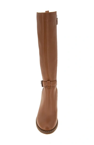 Gentle Souls By Kenneth Cole Knee High Moto Boot In Cognac