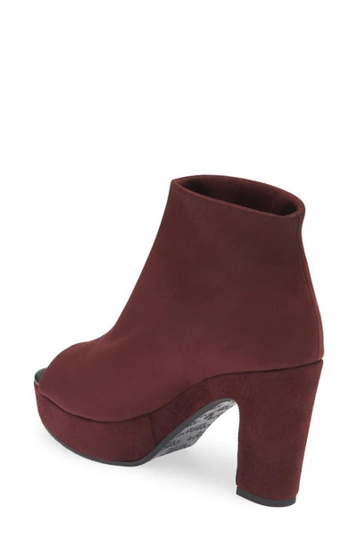 Cordani Tyra Peep Toe Platform Bootie In Bordo Stretch Suede In Barolo Stretch Suede