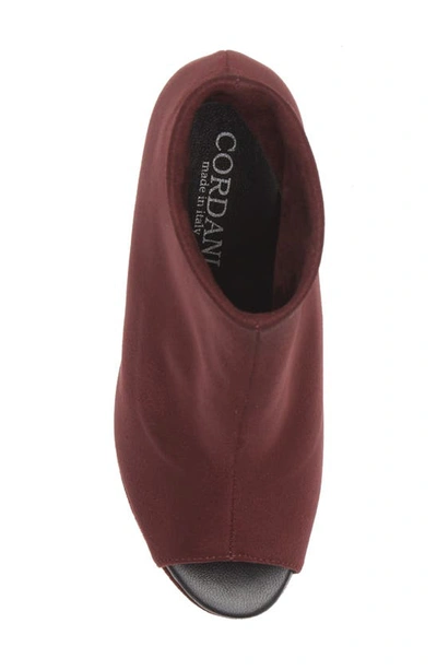 Cordani Tyra Peep Toe Platform Bootie In Bordo Stretch Suede In Barolo Stretch Suede