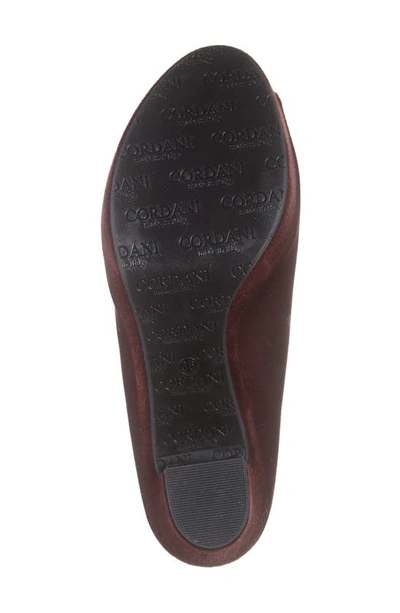 Cordani Tyra Peep Toe Platform Bootie In Bordo Stretch Suede In Barolo Stretch Suede