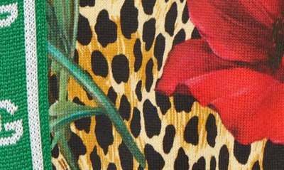 Shop Dolce & Gabbana Kids' Leopard Floral Print Cotton Joggers In Papaveri F.ocelot