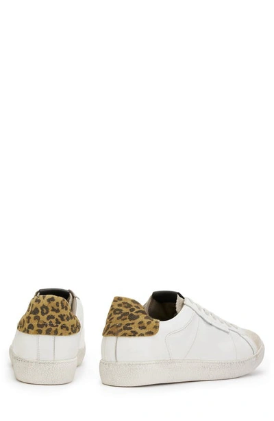Shop Allsaints Low Top Leather Sneaker In White Leopard