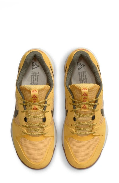 Shop Nike Acg Lowcate Hiking Sneaker In Solar Flare/ Cargo Khaki