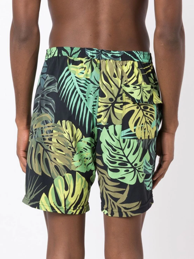 Shop Amir Slama Leaf-print Swim Shorts In Green