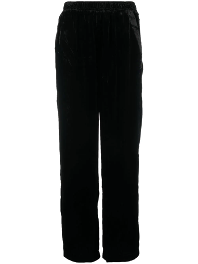 Shop Gold Hawk Velvet Straight-leg Trousers In Schwarz