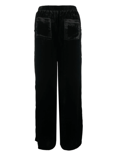 Shop Gold Hawk Velvet Straight-leg Trousers In Schwarz