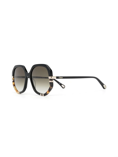 Chloé Womens Ch0105s Hexagonal-frame Acetate Sunglasses Brown In Schwarz