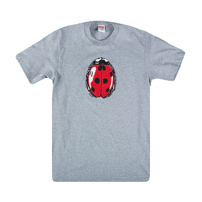 Pre-owned Supreme Ladybug Tee 'heather Grey'