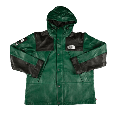 Pre-owned Supreme X The North Face Leather Mountain Parka 'dark Green'