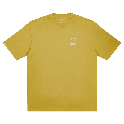 PALACE Pre-owned X Arc'teryx T-shirt 'gold'