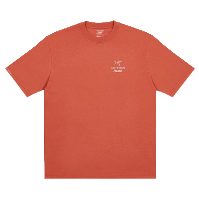 Pre-owned Palace X Arc'teryx T-shirt 'ochre' In Orange