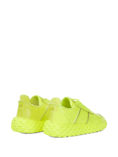 Shop Giuseppe Zanotti Urchin Low-top Sneakers In Green