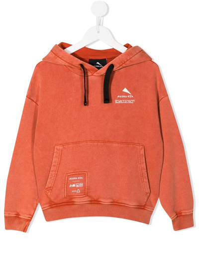 Mauna Kea Logo Print Hoodie In Orange