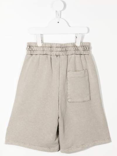Mauna Kea Logo Print Bermuda Shorts In Grey