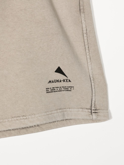 Mauna Kea Logo Print Bermuda Shorts In Grey