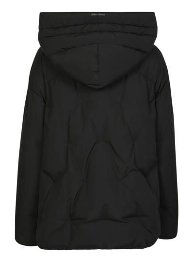 Shop Herno Laminar Padded Vest With Hood In Black