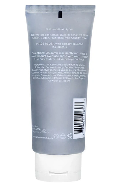 Shop Atwater Skin Armor Face Scrub, 3.4 oz