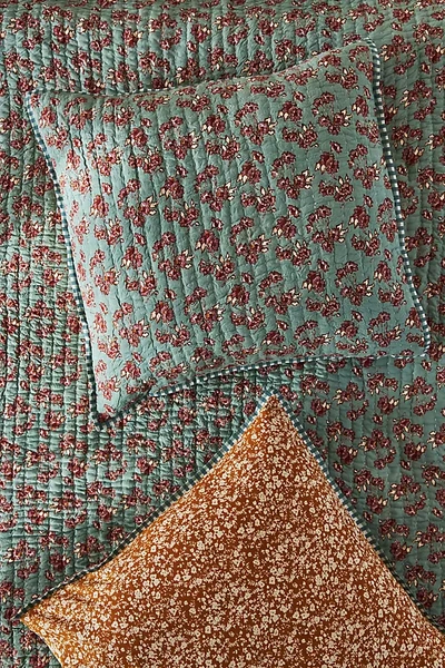 Shop Amber Lewis For Anthropologie Rosebury Euro Sham By  In Mint Size Euro