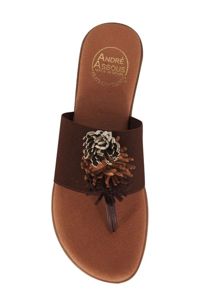 Andre Assous Women's Novalee Embellished Slip On Thong Sandals In Espresso Multi