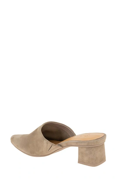 Shop Splendid Lorelei Mule In Ermine