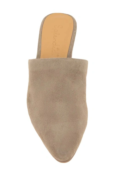 Shop Splendid Lorelei Mule In Ermine