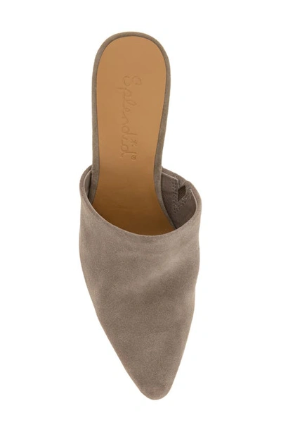 Splendid Women's Lorelei Mules In Ermine