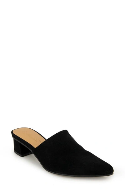 Splendid Lyn Suede Mule Heel In Black