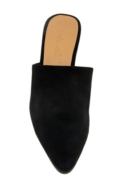 Splendid Lyn Suede Mule Heel In Black