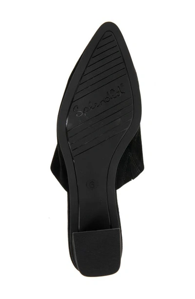 Splendid Lyn Suede Mule Heel In Black