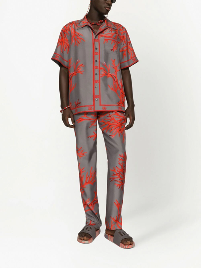 Dolce & Gabbana Coral-print Silk Jogging Trousers In Grey
